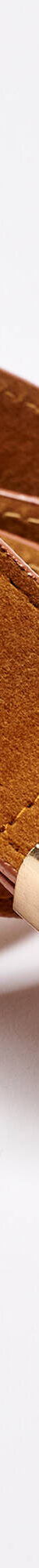 Riem met daimaspect(1) (karamel) Riem met daimaspect(1) (karamel)